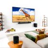 dolby vision