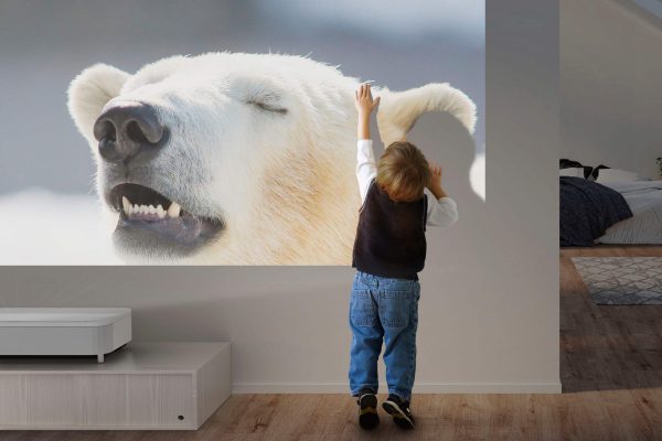 Epson LS800 4K Ultra Short Throw Laser Projector Home-10
