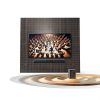 dolby laboratories